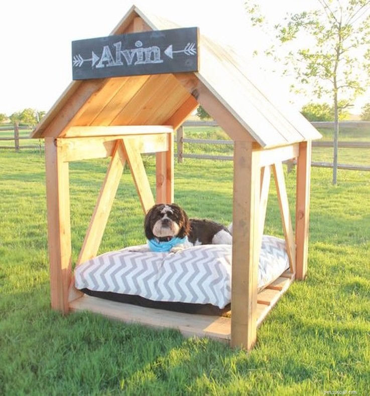 10 DIY Dog Houses: Plans & Ideas for Your Furry Family Member