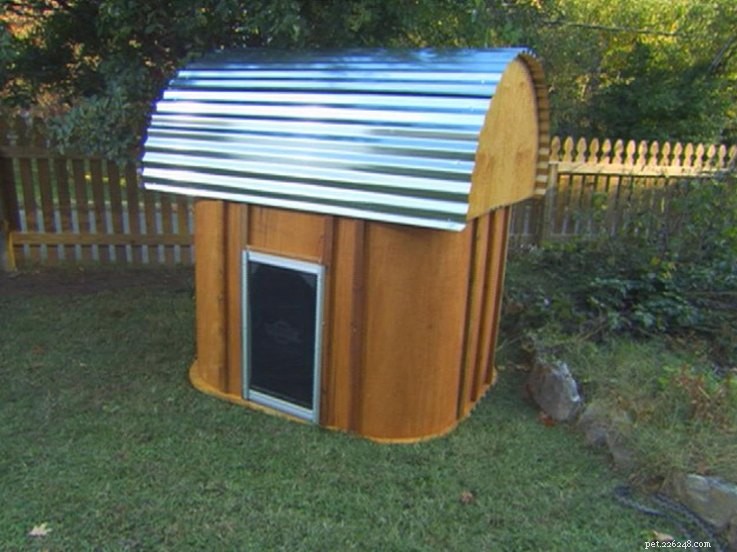 10 DIY Dog Houses: Plans & Ideas for Your Furry Family Member