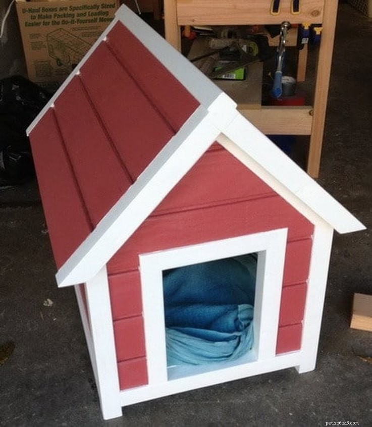 10 DIY Dog Houses: Plans & Ideas for Your Furry Family Member