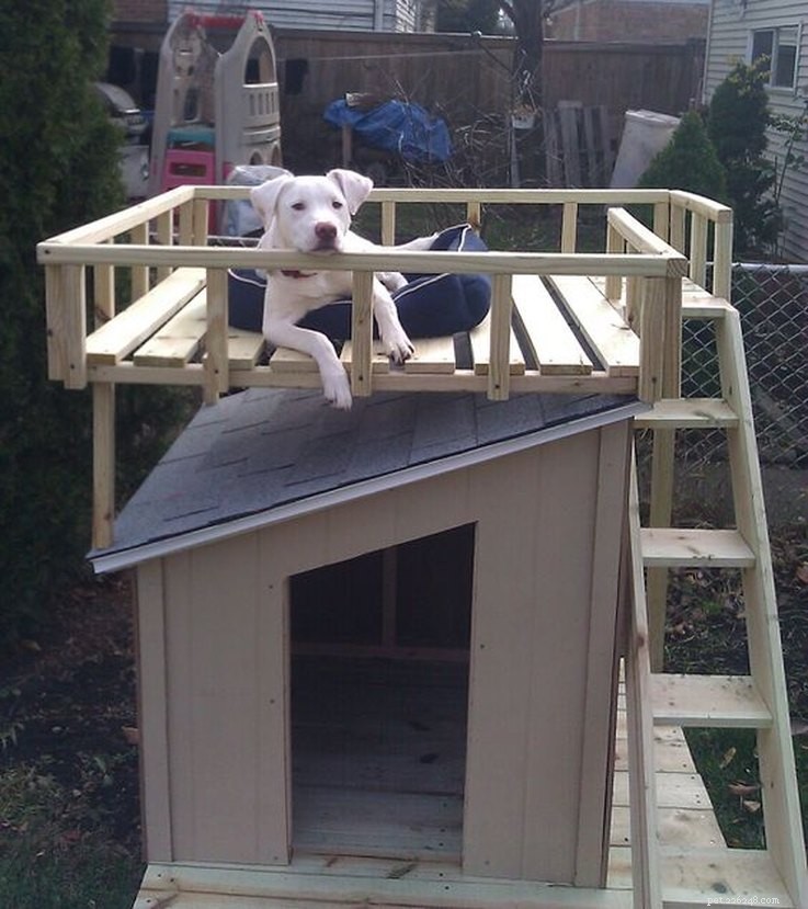 10 DIY Dog Houses: Plans & Ideas for Your Furry Family Member