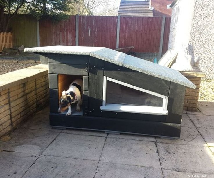 10 DIY Dog Houses: Plans & Ideas for Your Furry Family Member