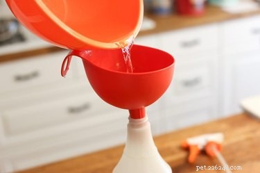 DIY Natural Dog Coat Freshener – Keep Your Pet Smelling Fresh & Clean