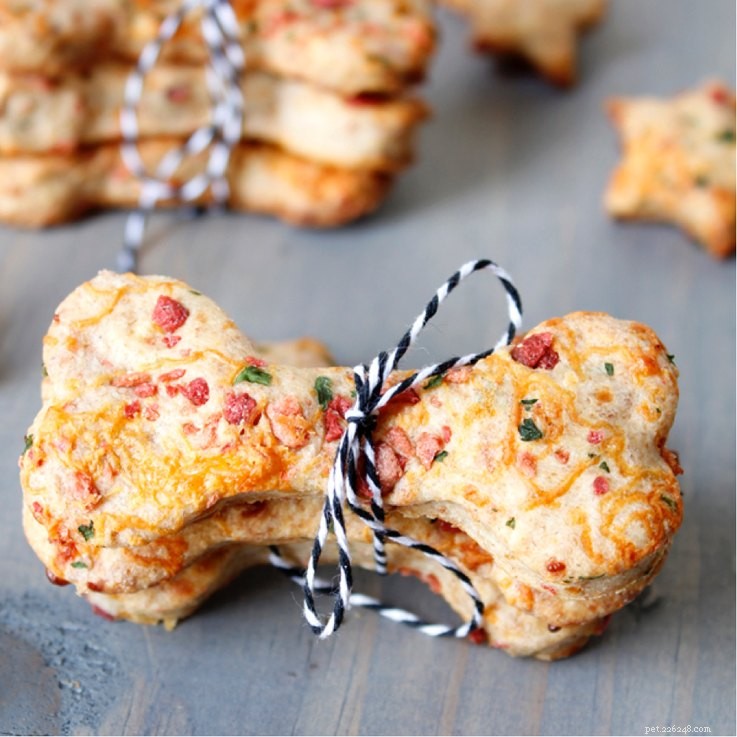 11 Safe & Tasty Pizza Recipes for Your Dog