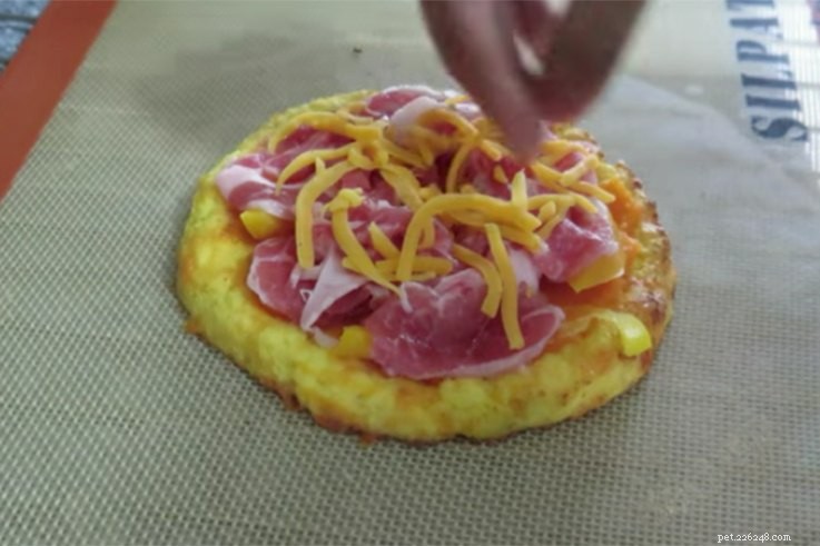 11 Safe & Tasty Pizza Recipes for Your Dog