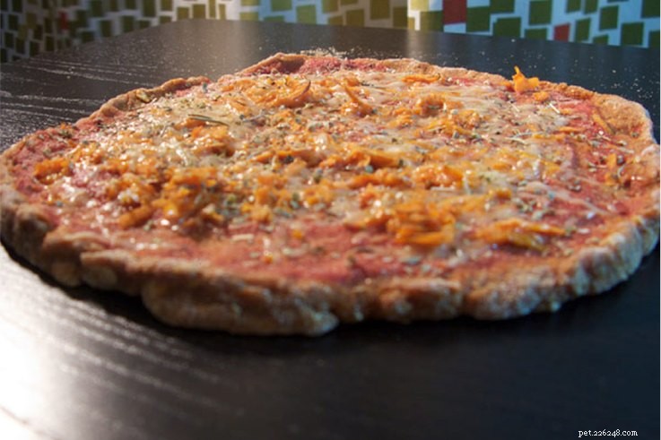 11 Safe & Tasty Pizza Recipes for Your Dog