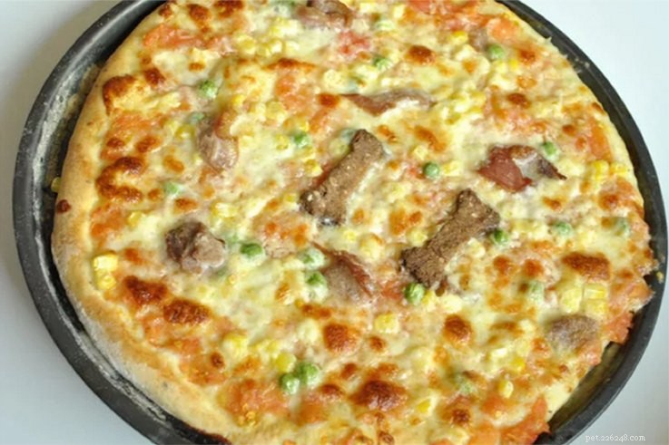 11 Safe & Tasty Pizza Recipes for Your Dog