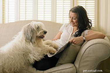 Expert Dog-Sitting Tips: Build Trust & Earn Extra Income