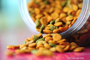 Prevent Mold in Dog Food Containers: Proven Tips & Tricks