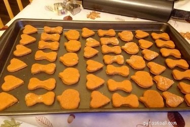 11 Adorable, Healthy Homemade Dog Treats Everyone Will Love