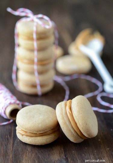 11 Adorable, Healthy Homemade Dog Treats Everyone Will Love