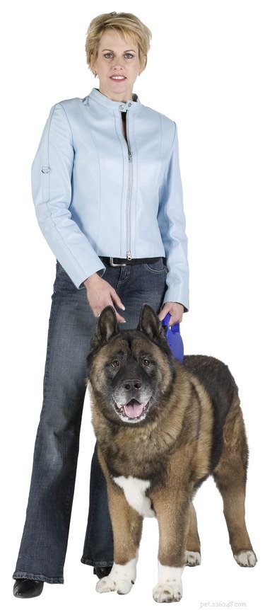 Fixing a Spring on a Flexi Retractable Leash: A Step‑by‑Step Guide
