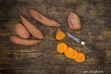 Sweet Potato Treats for Dogs: Benefits, Risks, and Safe Serving Tips