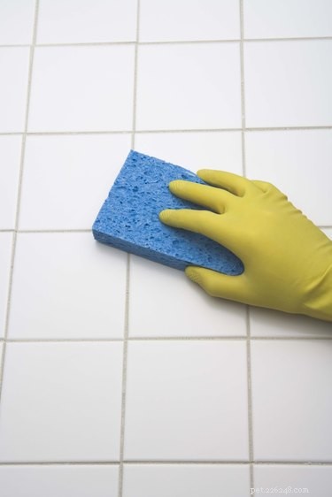 Effective Guide: Removing Dog Urine Stains from Ceramic Tile