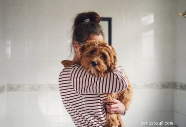 How to Safely Trim a Puppy’s Rear: A Step‑by‑Step Guide
