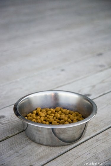 Top Dog Foods for Your Great Pyrenees: Nutrition & Wellness