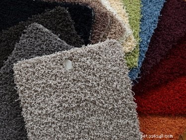 Top Pet-Friendly Carpets for a Clean, Durable Home