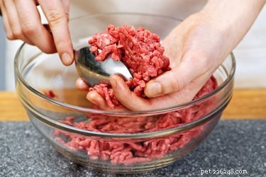 Homemade High‑Calorie Dog Food: Boost Energy & Health for Active & Recovering Dogs