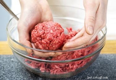 Homemade High‑Calorie Dog Food: Boost Energy & Health for Active & Recovering Dogs