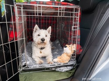 Step-by-Step Guide to Assembling a Drop-Pin Dog Crate