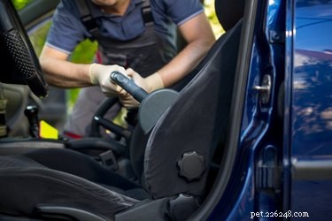 Effective Ways to Eliminate Fleas from Your Vehicle