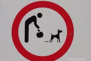 Understanding California Pooper Scooper Regulations: Local Laws and Penalties