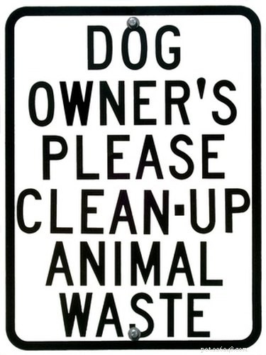 Understanding California Pooper Scooper Regulations: Local Laws and Penalties