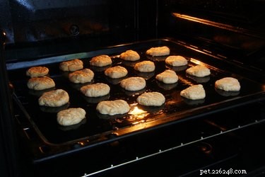 Homemade Soft & Tasty Dog Treats: Quick & Healthy Recipe