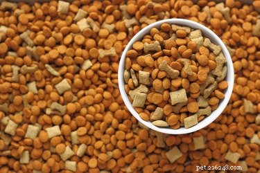 Top Healthy Dog Food Brands for Optimal Nutrition