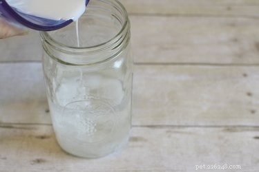 DIY Dog Shampoo for Itchy Skin: Gentle, All-Natural Solution