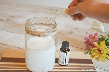 DIY Dog Shampoo for Itchy Skin: Gentle, All-Natural Solution