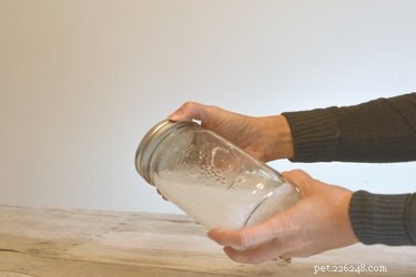 DIY Dog Shampoo for Itchy Skin: Gentle, All-Natural Solution