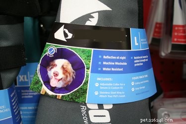 Top Dog Cone Alternatives: Comfort & Healing Solutions