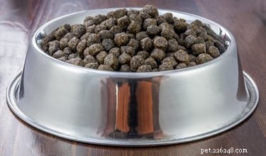 Top 10 Premium Dog Foods for Large Breeds