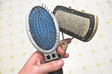 Safely Remove Wax from Your Dog’s Hair: Quick, Easy Guide