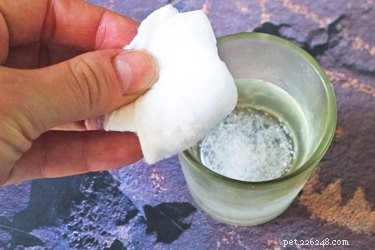 Safely Remove Wax from Your Dog’s Hair: Quick, Easy Guide
