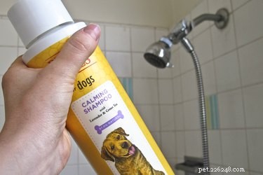 Safely Remove Wax from Your Dog’s Hair: Quick, Easy Guide