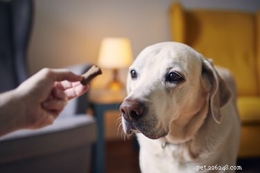 How to Make Homemade Dog Treats from Raw Pig Ears