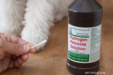 Professional Guide to Eliminating Tear Stains on Your Bichon Frise
