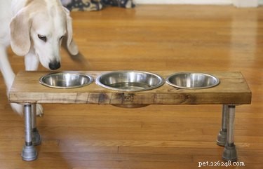 DIY Elevated Dog Feeder: Stylish, Functional, Rustic Design