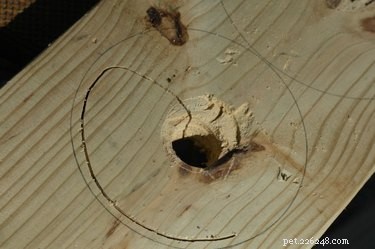 DIY Elevated Dog Feeder: Stylish, Functional, Rustic Design