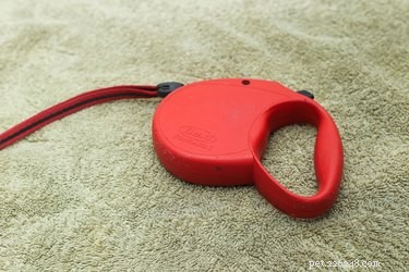Step-by-Step Guide to Fixing a Flexi Retractable Dog Leash