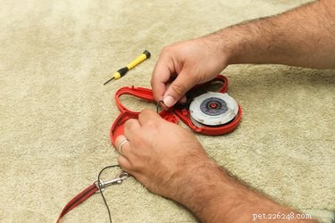 Step-by-Step Guide to Fixing a Flexi Retractable Dog Leash