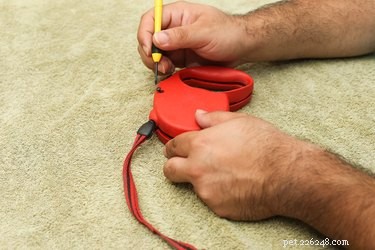 Step-by-Step Guide to Fixing a Flexi Retractable Dog Leash