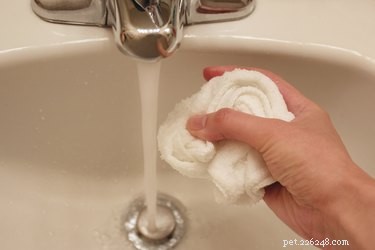 Erase Brown Mouth Stains on Dogs: Easy Grooming Fix