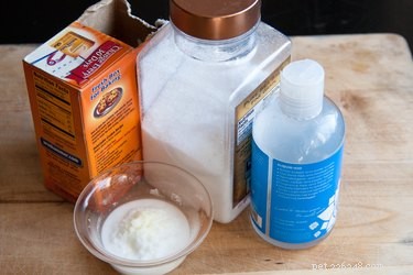 DIY Dog Toothpaste: Safe, Simple, and Cost-Effective Oral Care