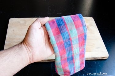 DIY Dog Toothpaste: Safe, Simple, and Cost-Effective Oral Care