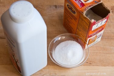 Homemade Dog Dry Shampoo: Quick, Safe, and Odor‑Removing