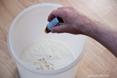 Homemade Dog Dry Shampoo: Quick, Safe, and Odor‑Removing
