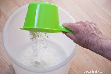 Homemade Dog Dry Shampoo: Quick, Safe, and Odor‑Removing