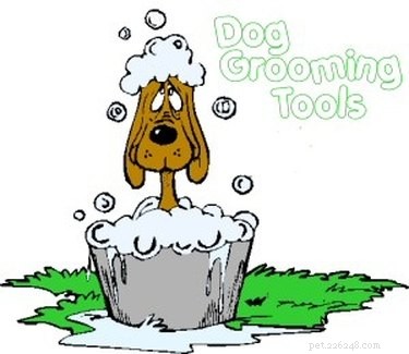 Fast & Effective Home Remedies to Remove Skunk Odor from Your Dog